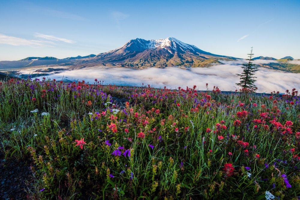 Mount St. Helens in the USA