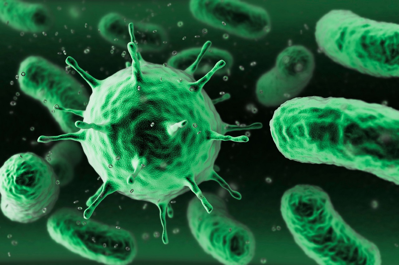 The deadliest viruses in the world - 824News