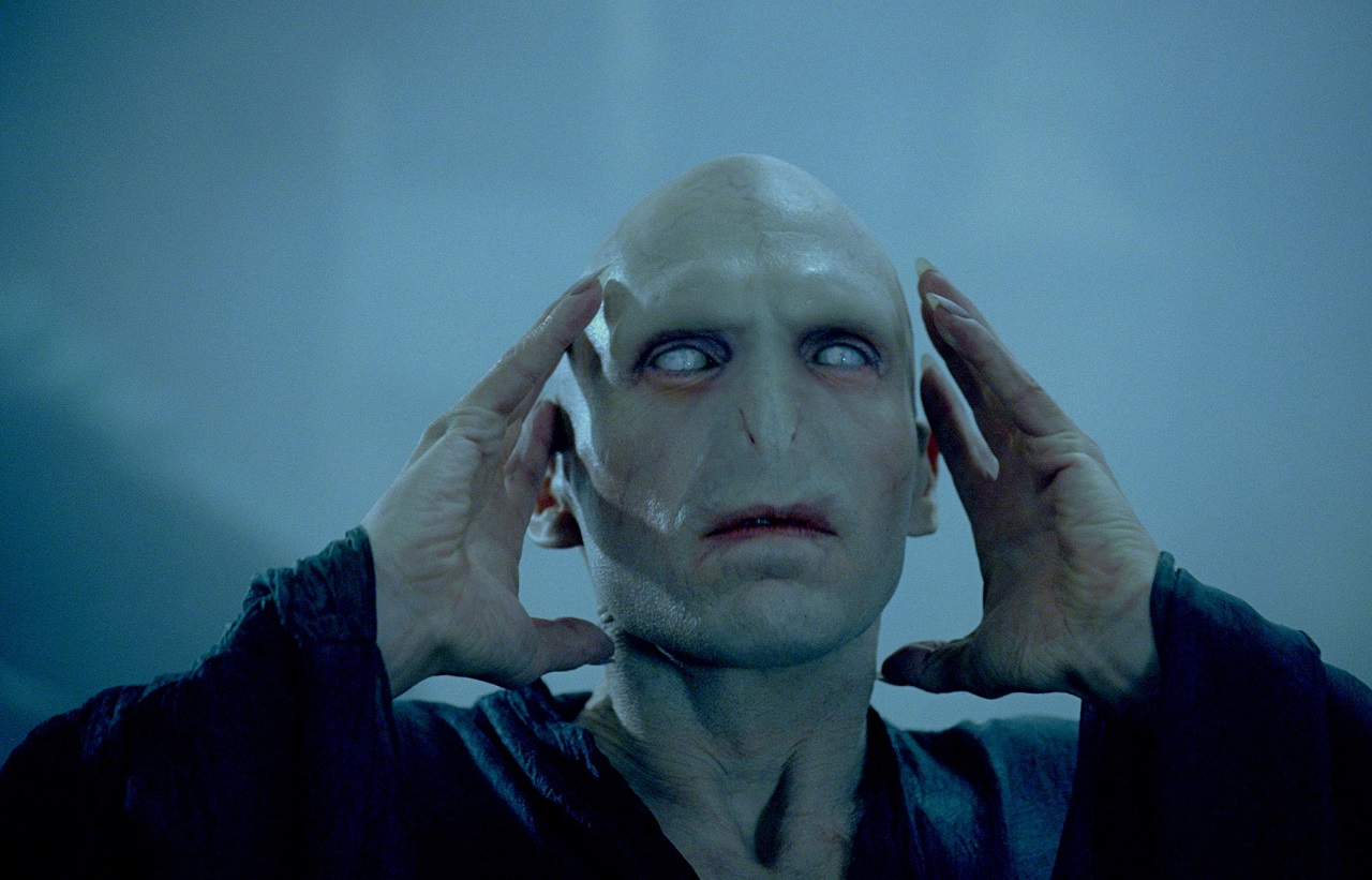 Voldemort, the dark lord of the Harry Potter universe, what has he experienced in his life, becoming such a terrible beast
