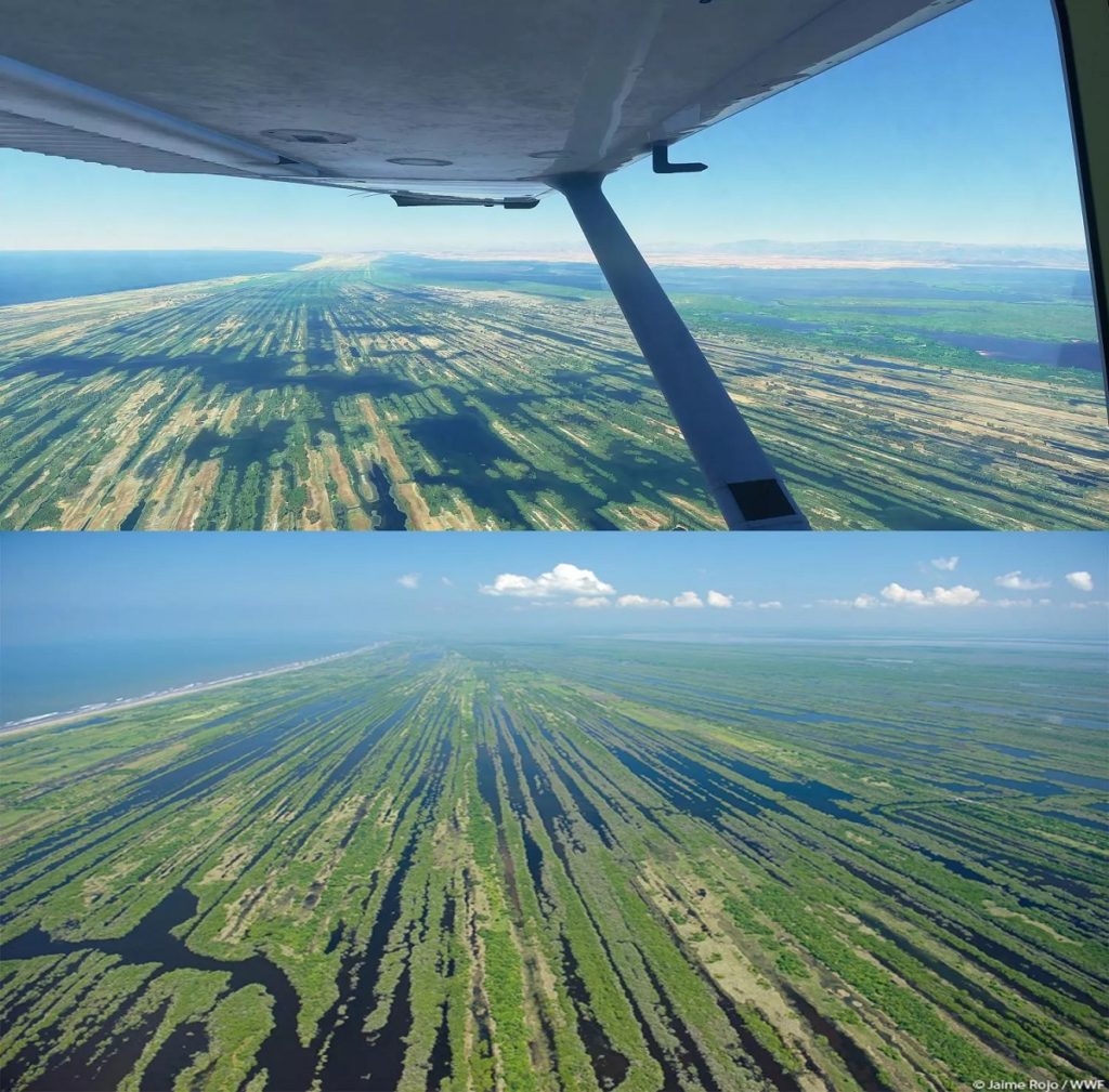 Flight Simulator 2020 screenshots vs. real world images3